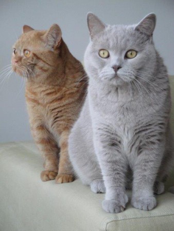 Met mijn allerliefste zusje Sayang